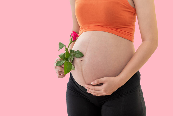 Κοντινές εικόνες εγκύων γυναικών κρατώντας ένα ροζ τριαντάφυλλο για το μωρό στο στομάχι της με ροζ φόντο, στην έννοια της μητρότητας. - Φωτογραφία, εικόνα