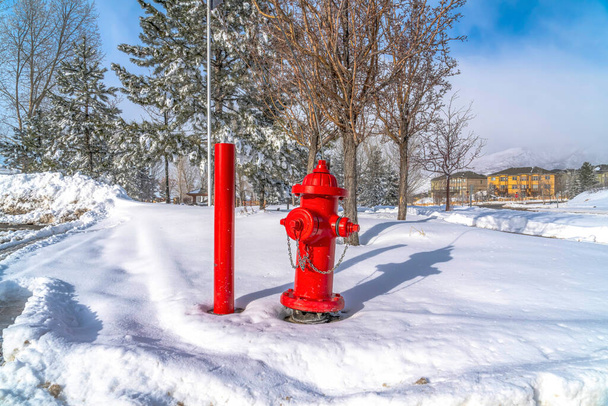 Živý červený požární hydrant a tyč proti přírodě krajinný pás sněhu v zimě - Fotografie, Obrázek