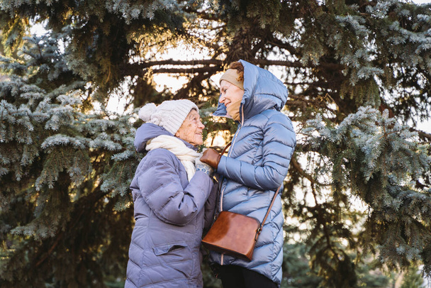 Paar blanke volwassen vrouwen en oudere vrouwen zijn blij om samen tijd door te brengen op kerst- en nieuwjaarsvakantie, glimlachend en knuffelend in het bos op de achtergrond van dennenboom bij zonnig weer. - Foto, afbeelding