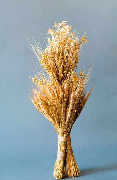 Didukh or sheaf of rye and dry cereals on a gray background. The concept of the oldest cults of Ukrainian Christmas rites. Close-up - Photo, Image