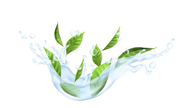 Φύλλα τσαγιού στο νερό. Ρεαλιστικό φυτό σε διαφανή βουτιά της πτώσης υγρού. Μακιγιάζ κρύου ποτού για διαφήμιση ποτών. Aqua ροή και σταγόνες με floral στοιχεία, διανυσματική απεικόνιση - Διάνυσμα, εικόνα