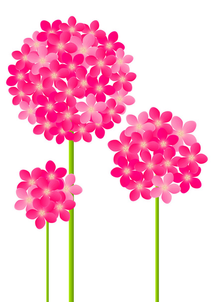 Розовые цветы
 - Вектор,изображение