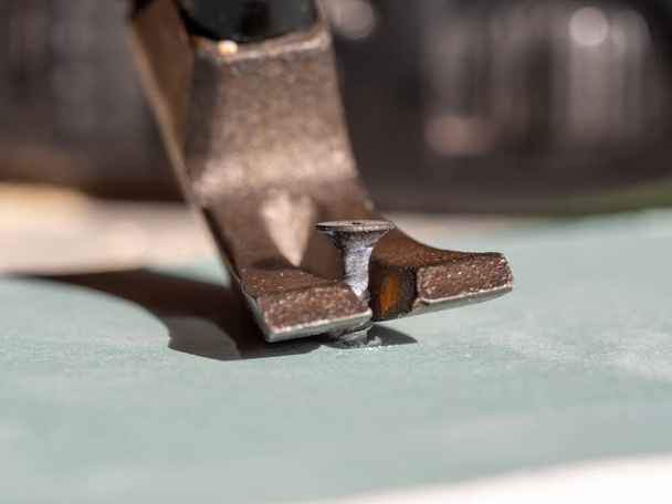 Tiro o parafuso do drywall com a parte de trás do martelo. Close-up, foco seletivo - Foto, Imagem
