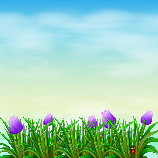 Un jardín con flores violetas
 - Vector, Imagen