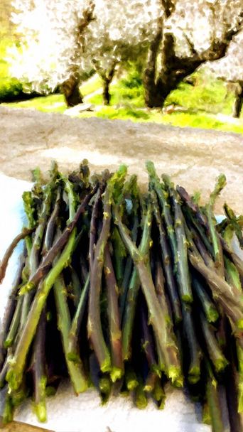A bundle of freshly picked wild asparagus painted in digital oil painting style - Photo, Image