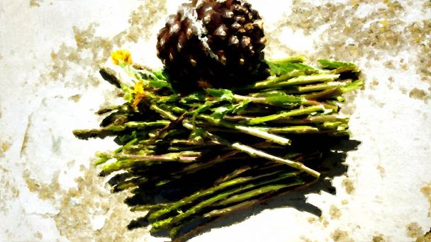 A bundle of freshly picked wild asparagus, yellow flowers and a pine cone painted in digital oil painting style - Photo, Image