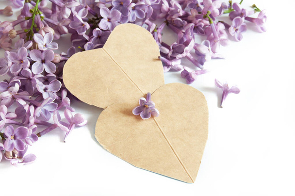 verse lila bloemen en twee paperhears als symbolen van de liefde geïsoleerd op witte achtergrond, close-up - Foto, afbeelding