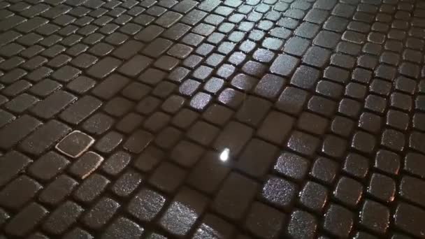 Spiegelbild eines Laternenpfahls in einer Pfütze - Filmmaterial, Video