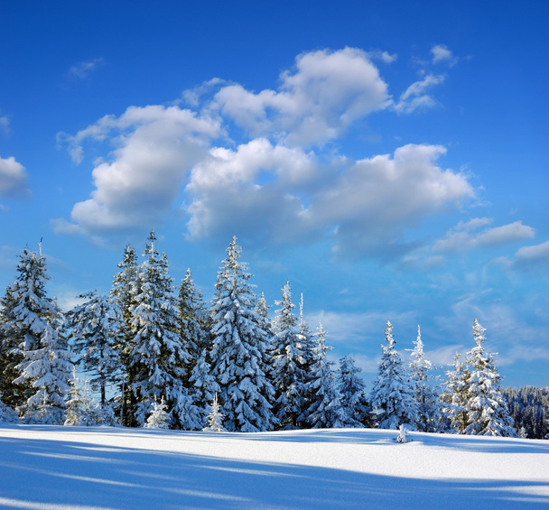 Talvi maisema - Valokuva, kuva
