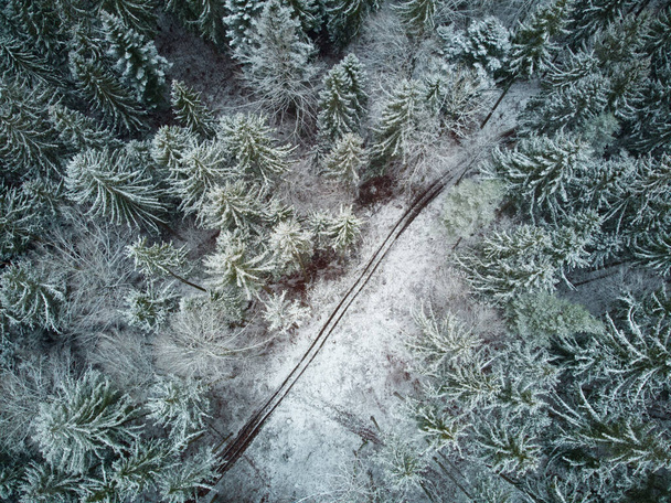Vue du haut vers le bas d'une forêt de conifères couverte de neige. Vue aérienne d'une forêt enneigée. - Photo, image
