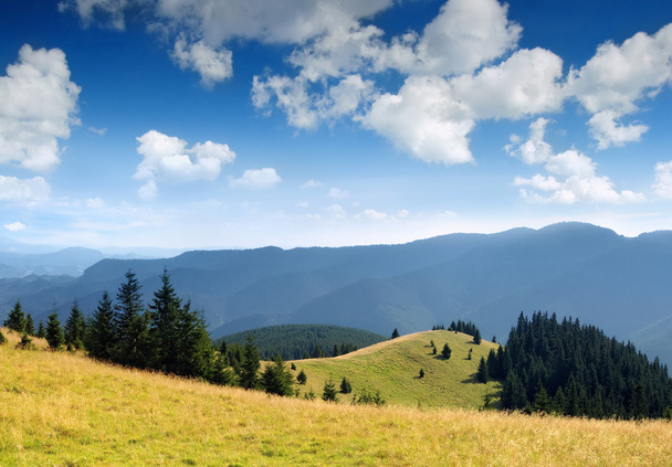 Letni krajobraz górski - Zdjęcie, obraz