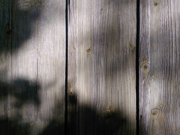 Hintergrund Licht Schatten auf einer Holzwand Nahaufnahme mit Blättern fallenden Schatten - Foto, Bild