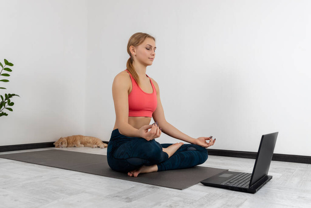 Pretty young female in sportswear on online yoga class relaxing in lotus position on carpet with cat in front of laptop - Foto, imagen