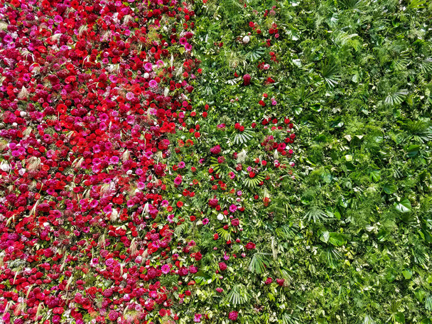 Fondo floral con una pared decorativa cubierta de flores rojas y vegetación para paisajes urbanos. - Foto, imagen