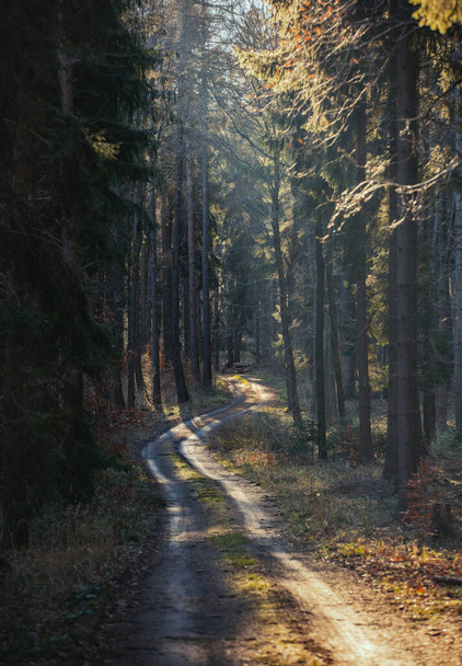 Εξοχή δρόμο σε Sudetes βουνά στην Πολωνία  - Φωτογραφία, εικόνα