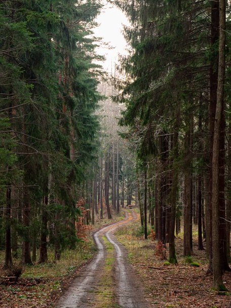 Platteland weg in Sudetes gebergte in Polen  - Foto, afbeelding