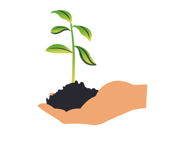 Hand and a plant - Vector, Image
