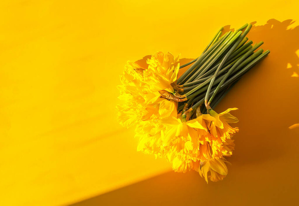 Beautiful bouquet of spring yellow narcissus flowers or daffodils. - Photo, Image