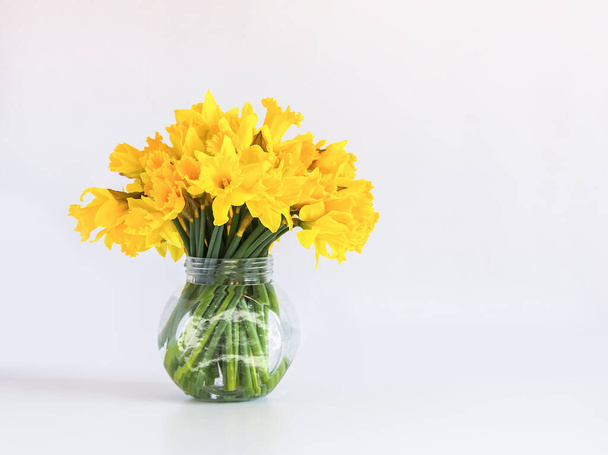 水仙の花イメージ 写真素材との写真水仙の花