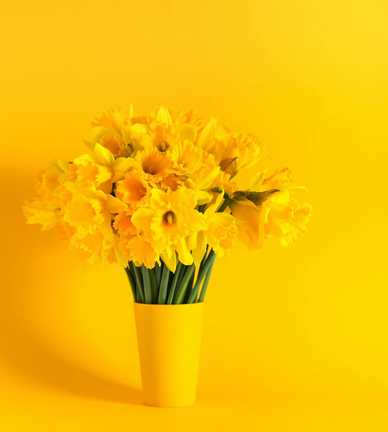 Beautiful bouquet of spring yellow narcissus flowers or daffodils on bright yellow background. - Photo, image
