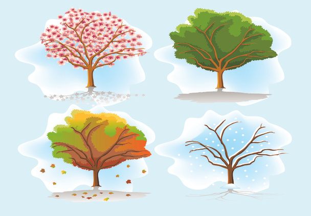 Four seasons trees - Vector, Image