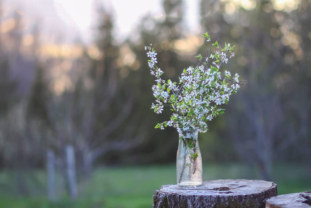 Buquê de cereja primavera em um vaso de vidro ao ar livre - Foto, Imagem