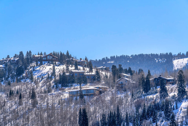 住宅周辺の常緑樹や茶色い木々が美しい雪の山 - 写真・画像
