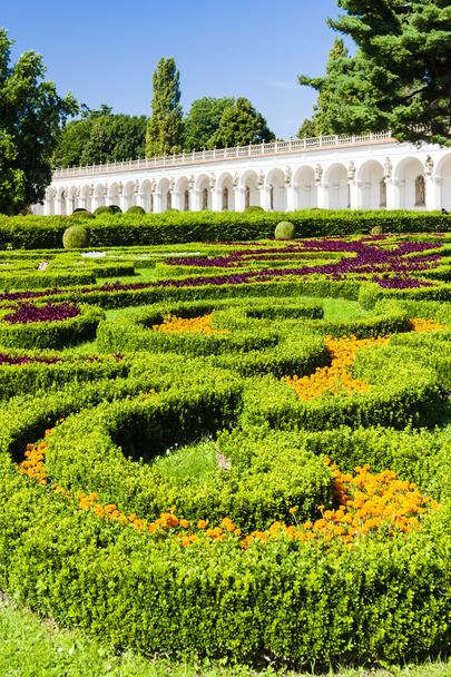 λουλούδι στον κήπο του kromeriz palace - Φωτογραφία, εικόνα