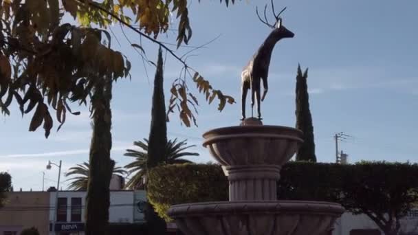 estatua venado san luis potosi - Felvétel, videó