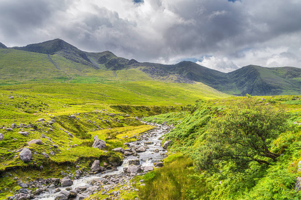 Kręty górski strumień lub rzeka w Cronins Yard. Zielone pola w dolinie z wysokimi górami pokrytymi słońcem, Pierścień Kerry, Irlandia - Zdjęcie, obraz