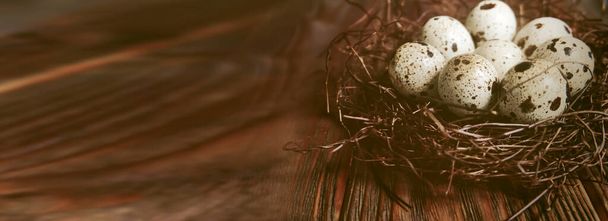 Quail eggs. Easter banner with free space. Eggs in nest on brown wooden background - Фото, зображення