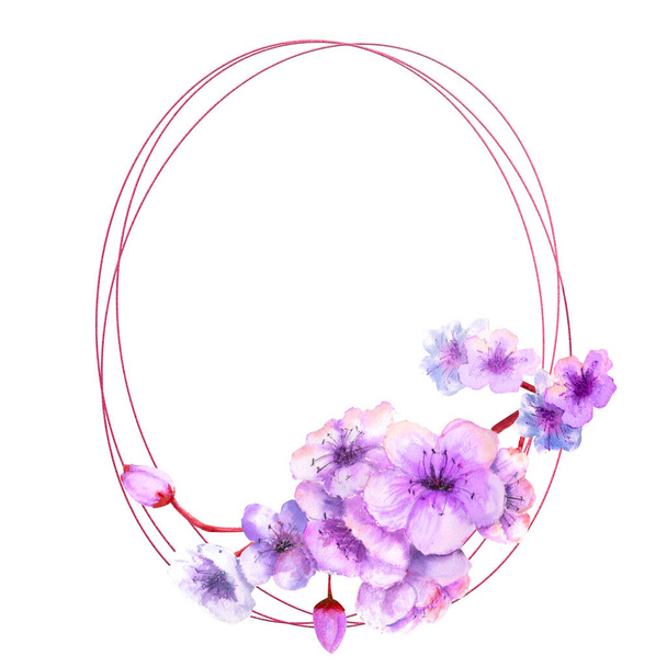 Třešňový květ, třešňový květ Větev s jasně fialovými květy na geometrickém rámu na izolovaném bílém pozadí. Obrázek jara. Obrázek barvy akvarelu. - Fotografie, Obrázek