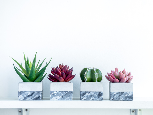 Plantes succulentes vertes, rouges et roses et cactus verts dans des jardinières modernes en béton géométrique peint sur étagère en bois blanc isolé sur fond blanc avec espace de copie. Pots à ciment, forme cubique. - Photo, image