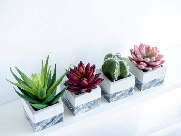 Modern painted geometric concrete planters with green, red and pink succulent plants and green cactus on white shelf isolated on white background with copy space, top view. Cement pots, cubic shape. - Photo, Image