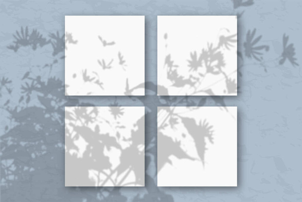 4 čtvercové listy bílého strukturovaného papíru na modré stěně. Mockup s vrstvou rostlinných stínů. Přírodní světlo vrhá stíny z vrcholků polních rostlin a květin. Byt ležel, horní pohled - Fotografie, Obrázek