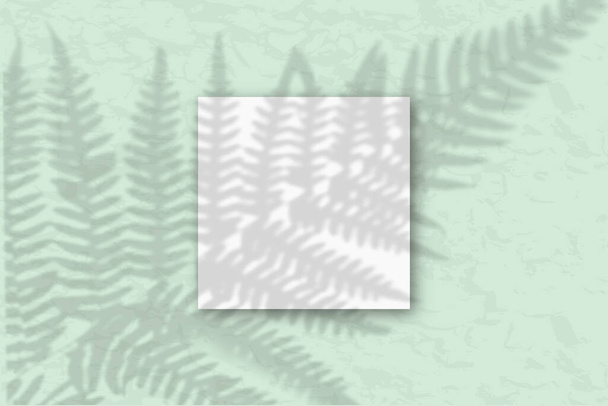 1 négyzet alakú fehér texturált papír egy szürke-zöld falnak támasztva. Mockup növényi árnyalatokkal. A természetes fény árnyékot vet a páfránylevelekre. Lapos fekvésű, felülnézet - Fotó, kép
