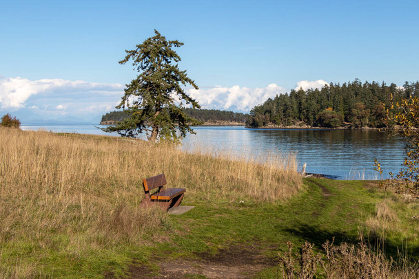 παγκάκι στο Drumbeg Provincial Park στη Βρετανική Κολομβία, Καναδάς  - Φωτογραφία, εικόνα