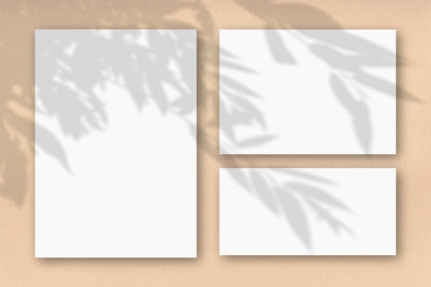 Verschillende horizontale en verticale vellen wit getextureerd papier op de achtergrond van een zandkleurige wand. Mockup bedekt met de schaduw van de planten. Natuurlijk licht werpt schaduwen van de bomen gebladerte - Foto, afbeelding