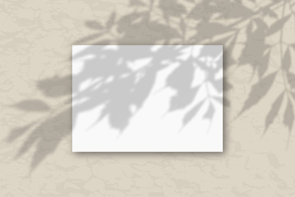 Горизонтальный лист формата А4 из белой текстурированной бумаги на сером фоне стены. Наложение макета на тени растений. Естественный свет отбрасывает тени с деревьев - Фото, изображение