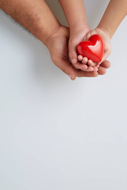 Mãos de homem e criança com um coração vermelho sobre fundo branco - Foto, Imagem