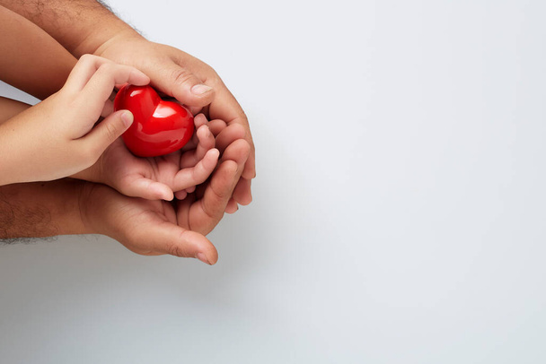 Hands of man and child with a red heart on white background - Photo, Image
