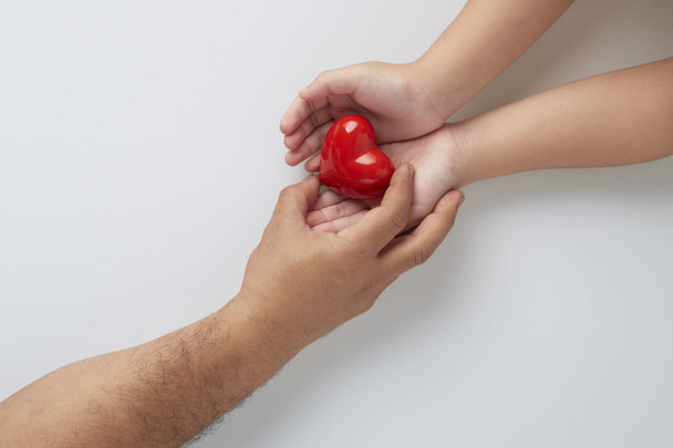 Mani di uomo e bambino con un cuore rosso su sfondo bianco - Foto, immagini