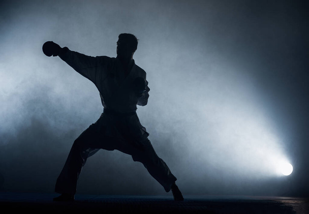 Um jovem homem forte em um quimono branco para sambo, jiu jitsu e outras artes marciais com um treinamento cinto azul no ginásio - Foto, Imagem