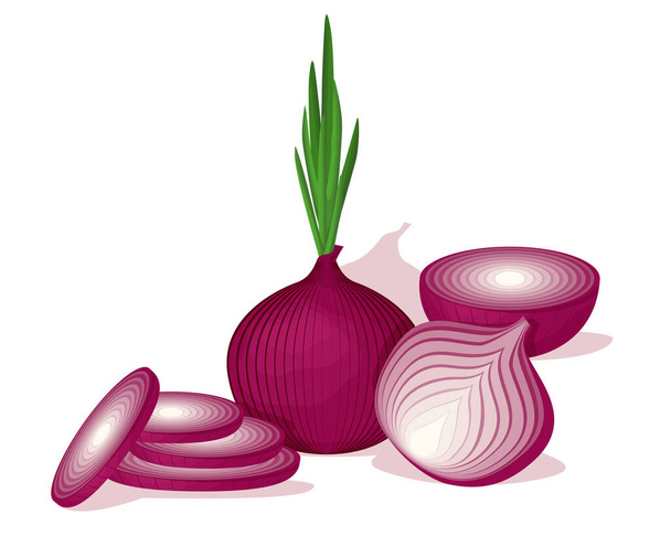 Shallot vegetables vector design. Vegetable of farm product for market product - Vektör, Görsel