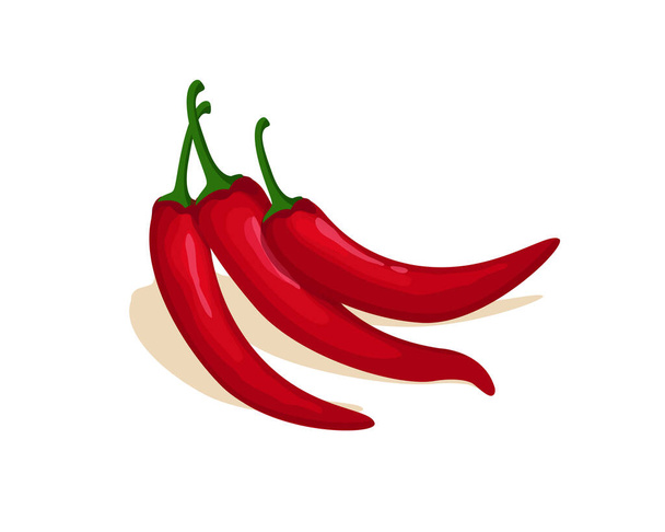 Rotes Chiligemüse Vektordesign. Gemüse vom Bauernhof für Marktprodukte - Vektor, Bild