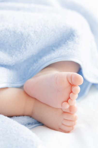 Baby feet - Foto, immagini