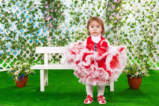 Little girl in a beautiful dress - Fotografie, Obrázek