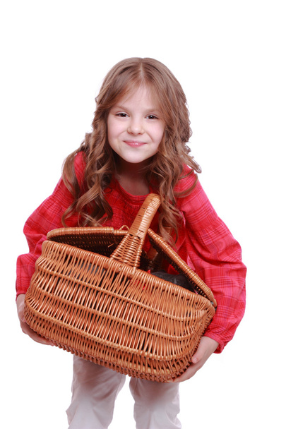 Petite fille tenant un panier de pique-nique
 - Photo, image