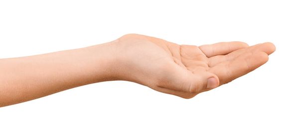 Νέοι απλωμένο χέρι με ανοιχτή κενή παλάμη προς τα πάνω απομονώνονται σε λευκό φόντο. Χέρι παλάμη για την εμφάνιση ή λήψη αντικειμένων. - Φωτογραφία, εικόνα