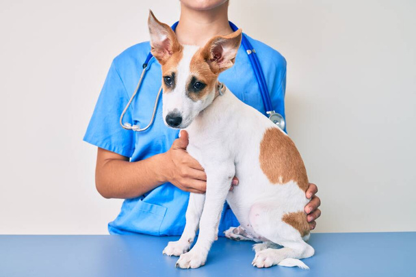 Молодий цуценя на ветеринарі йде на медичний огляд, професійний оглядовий собака використовує стетоскоп
 - Фото, зображення